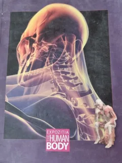 Expozitia The Human Body