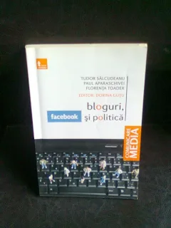 FACEBOOK BLOGURI SI POLITICA