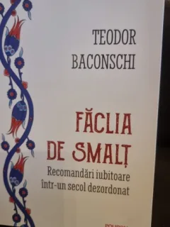 Faclia de smalt - Teodor Baconshi