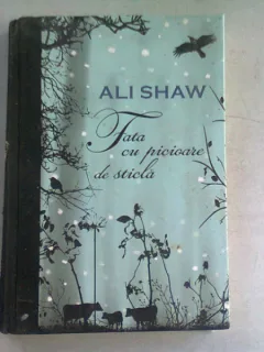 FATA CU PICIOARE DE STICLA - ALI SHAW