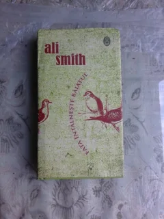 FATA INTALNESTE BAIATUL - ALI SMITH