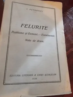 Felurite. Probleme si oameni, evenimente, note de drum - I. Petrovici