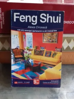 FENG SHUI. CUM SA-TI AMENAJEZI APARAMENTUL  - ALEXIA CINZEACA