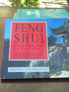 FENG SHUI GHID PRACTIC ILUSTRAT , Lam Kam Chuen , 2004