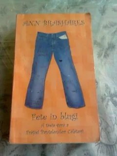 FETE IN BLUGI - ANN BRASHARES