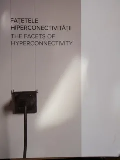 FETELE HIPERCONECTIVITATII