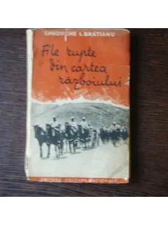 FILE RUPTE DIN CARTEA RAZBOIULUI - GHEORGHE I.BRATIANU