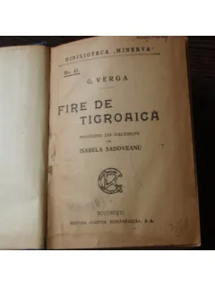 FIRE DE TIGROAICA - G. VERGA