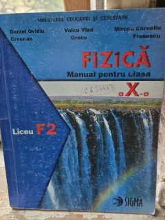 Fizica, manual pentru clasa a X-a F2 - Daniel Ovidiu