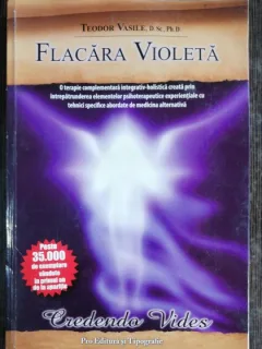 FLACARA VIOLETA - TEODOR VASILE