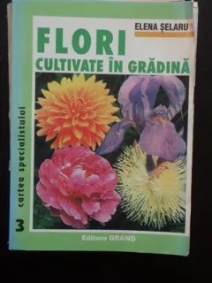 FLORI CULTIVATE IN GRADINA - ELENA SELARU