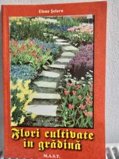 FLORI CULTIVATE IN GRADINA - ELENA SELARU