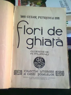FLORI DE GHIATA - CEZAR PETRESCU