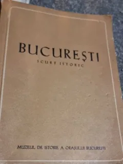 Florian Georgescu - Bucuresti Scurt Istoric