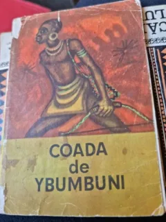Florica Apostol - Coada de Ybumbuni. Basme Africane