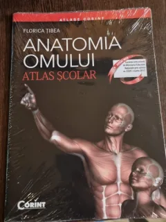 Florica Tibea - Anatomia Omului
