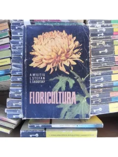 Floricultura , A. Militiu