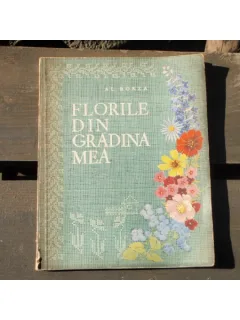 FLORILE DIN GRADINA MEA - AL. BORZA