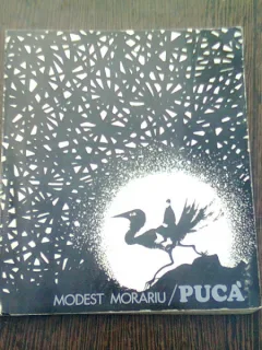 FLORIN PUCA - MODEST MORARIU