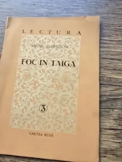 Foc in Taiga - Mihail Bubennov