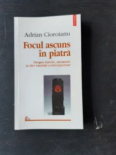 FOCUl ASCUNS IN PIATRA - ADRIAN CIOROIANU