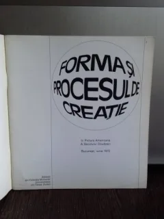 FORMA SI PROCESUL DE CREATIE IN PICTURA AMERICANA A SECOLULUI DOUAZECI