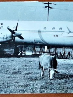 Fotografie, avion al Tarom, tip IL-18, perioada comunista
