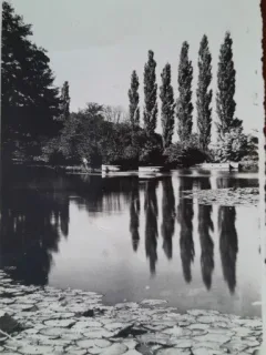 Fotografie, Baile Felix, lac cu nuferi, perioada interbelica