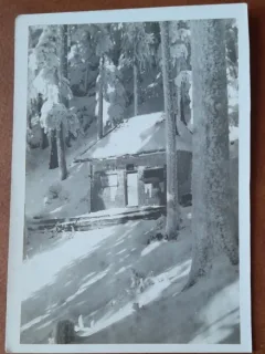 Fotografie, Cabana in muntii din Romania, 1930