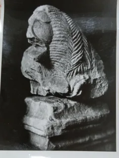 Fotografie, cap de leu funerar