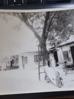 Fotografie casa demolata, Strada Sebastian nr 105, Bucuresti