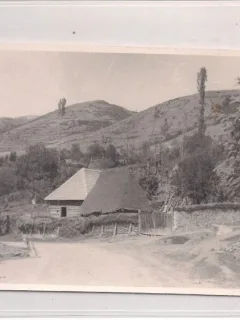 Fotografie din prioada interbelica