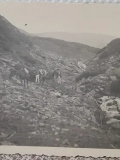 Fotografie, doi barbati cu caii, prin munti, coborarea prin Jnepi, 1932