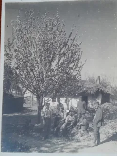 Fotografie, grup de militari, 1917