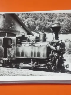 Fotografie Locomotiva CFF 764-005 - Rastolita