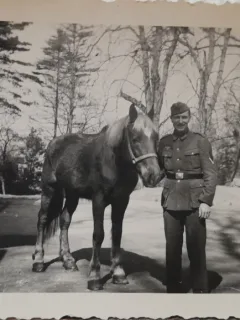 Fotografie, militar german cu calul, 1942