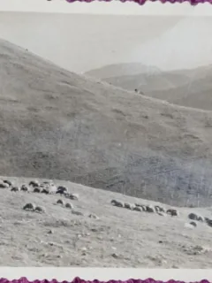 Fotografie, Muntii Bucegi, Valea lui Carp, 1962
