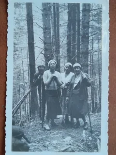 Fotografie, parintii lui Geo Litarczek, parintele radiologiei romanesti impreuna cu doua prietene, in drum spre Paltinis, 1932