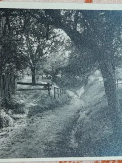 Fotografie, peisaj dintr-un sat din Romania, perioada interbelica