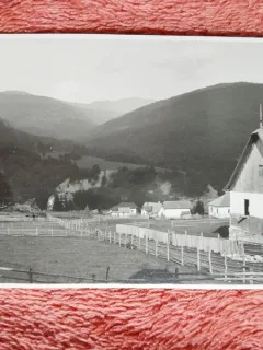 Fotografie peisaj Poiana Tapului, 1928