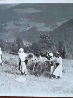 Fotografie, taranci la munca campului, Romania, perioada interbelica