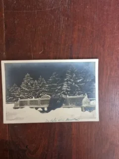 Fotografie tip Carte Postala - Bucuresti. In fata vilei Mina Minovici