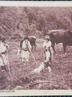 Fotografie tip Carte Postala, Copii din mediul rural, in costume populare, perioada interbelica