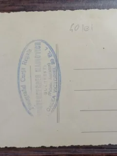 Fotografie tip carte postala - Cuplu tanar