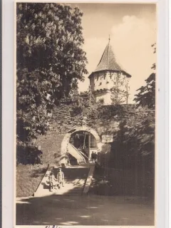 Fotografie tip carte postala din perioada interbelica