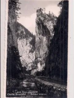 Fotografie tip carte postala necirculata din perioada interbelica