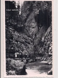 Fotografie tip carte postala necirculata din perioada interbelica