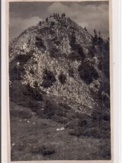 Fotografie tip carte postala necirculata  din perioada interbelica