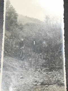 Fotografie tip carte postala, necirculata, ministrul V. Nitescu la barajele cu plantatii de salcii perimetrul Bucuresti, 1933