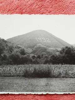 Fotografie tip carte postala, Plantatia 1932 in Luncoiul de Sus, Ocolul Baia de Cris